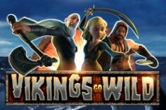 Играть в Vikings Go Wild